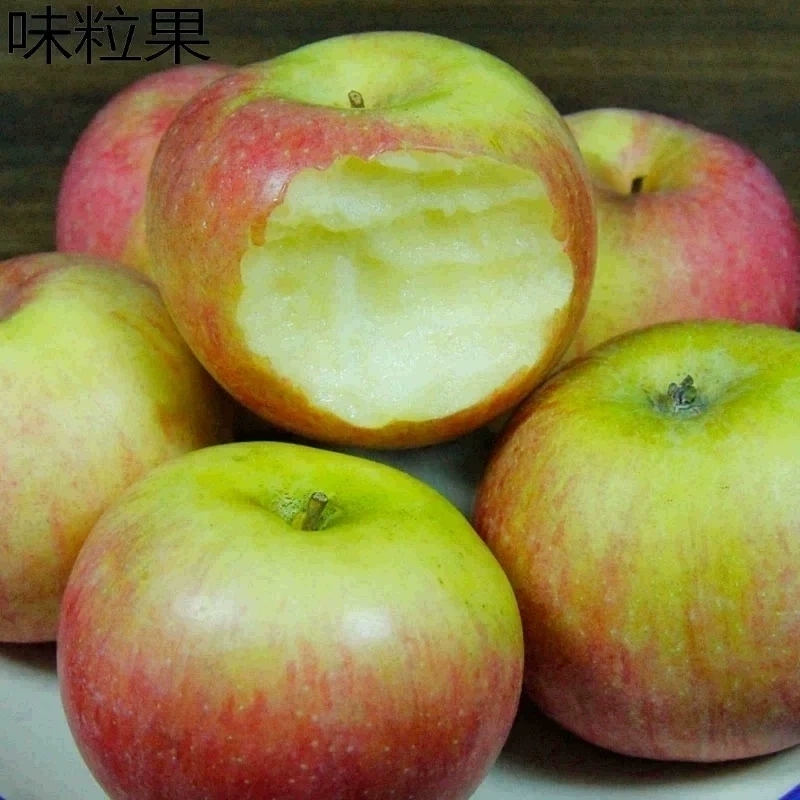东北国光苹果5斤装包邮辽宁特产新鲜水果非烟台小红富士新鲜包邮