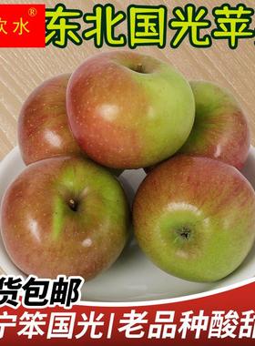 东北国光小苹果3/5/8斤包邮盖县瓦房店特产果光新鲜水果酸甜孕妇