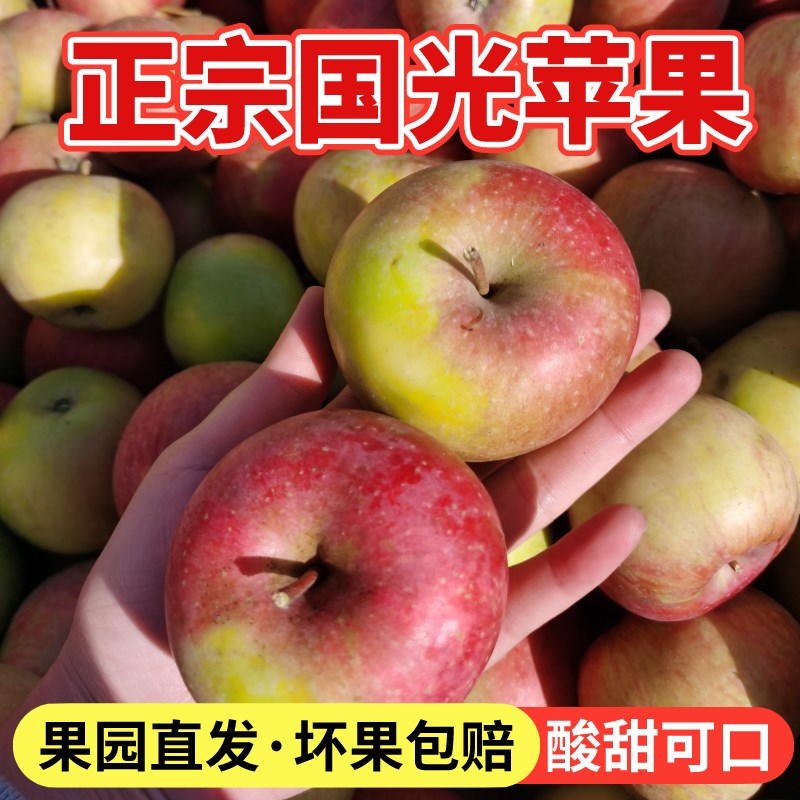 正宗东北国光苹果老树小国光老果光新鲜水果酸甜口味5斤多省