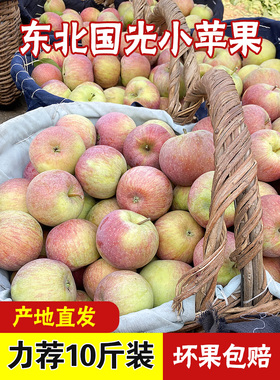 东北小国光苹果酸甜脆新鲜苹果水果正宗老式国光绿色国光10斤