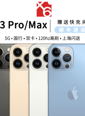 Apple/苹果 iPhone 13 Pro Max 5G双卡 苹果13 Pro国行原封未激活