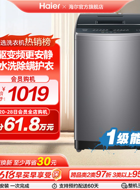 【直驱变频】海尔智家Leader波轮洗衣机10kg租房家用全自动958