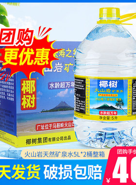 椰树火山岩天然矿泉水5L*2桶整箱包邮 海南岛天然好水大瓶泡茶水