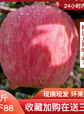 苹果水果新鲜 陕西宜川红富士整箱十斤特级大苹果80mm 冰糖心包邮