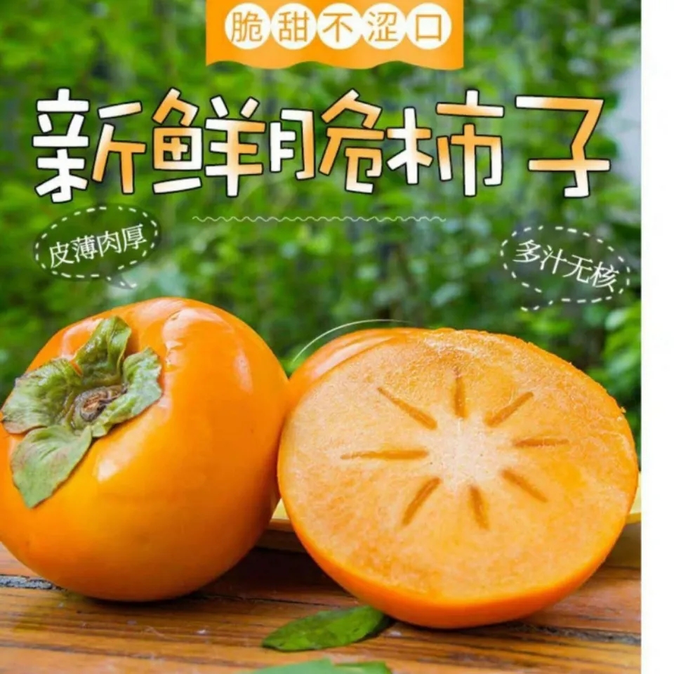 2021广西恭城脆柿子新鲜甜柿巧克力脆柿子水果硬柿子