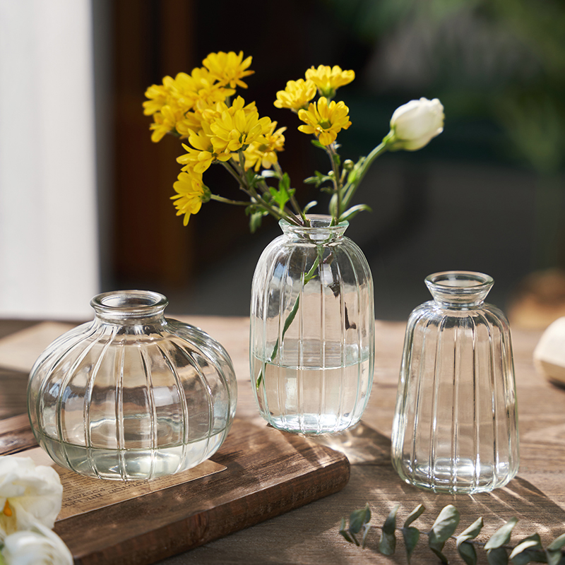3个9.9北欧ins风简约玻璃小花瓶透明水培器皿客厅创意插花瓶摆件