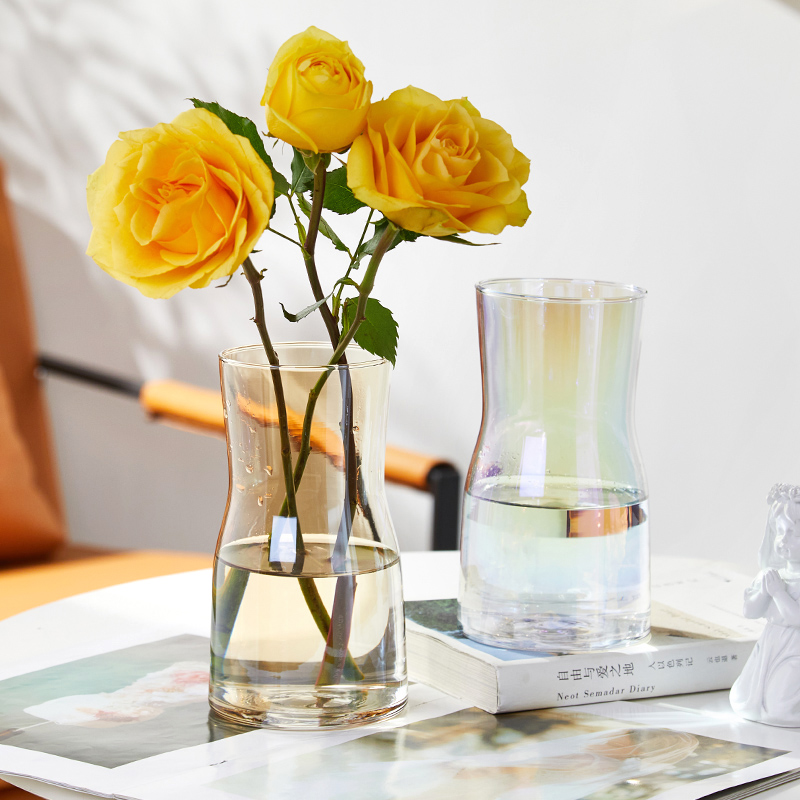 创意简约轻奢ins 风透明玻璃花瓶水培电镀插花瓶干鲜花餐桌小摆件