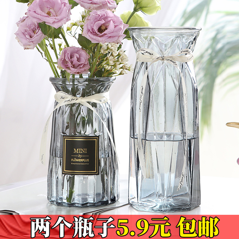 【两件套】北欧创意玻璃花瓶透明水养富贵竹鲜花百合插花花瓶摆件