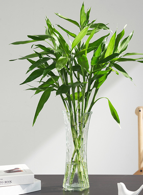 【两件套】特大号玻璃花瓶透明水养富贵竹花瓶家用客厅插花瓶摆件