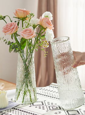 【两件套】浮雕ins玻璃花瓶大号透明水养富贵竹客厅家用插花摆件