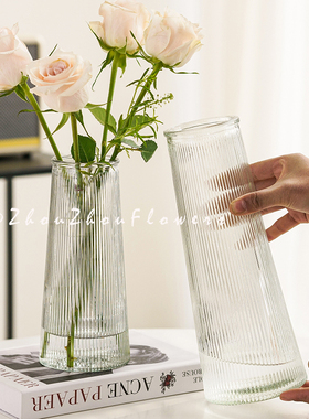 【两件套】现代简约玻璃花瓶大号透明水养富贵竹鲜花客厅家用摆件