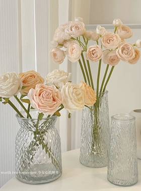 玻璃花瓶摆件客厅插花轻奢高级感透明直筒鲜花水养水培器皿家用
