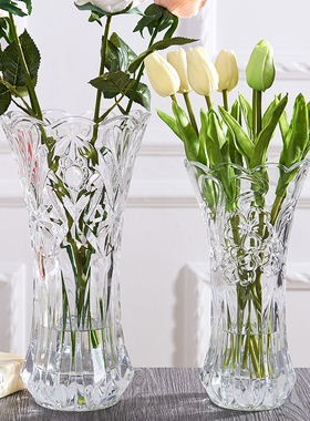 水养大号玻璃花瓶摆件家用客厅简约现代透明插花干花水培富贵竹瓶