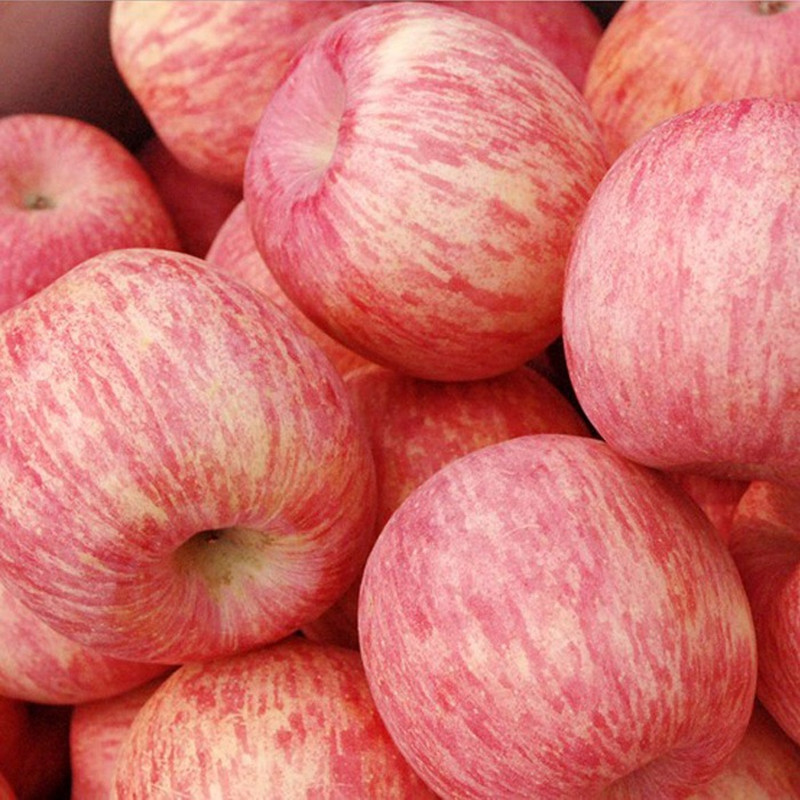 山东5烟台水果平果助农当季脆栖霞10新鲜苹果甜红富士一级斤