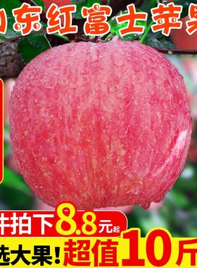 苹果水果新鲜当季整箱10斤山东红富士应季平果嘎啦丑苹果包邮