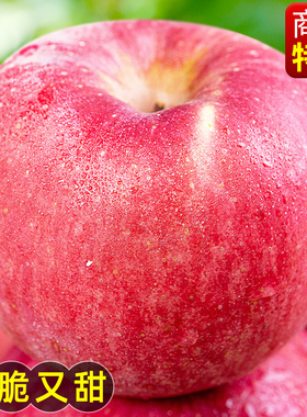山东烟台红富士苹果10斤新鲜水果整箱当季正宗栖霞平果冰糖心包邮