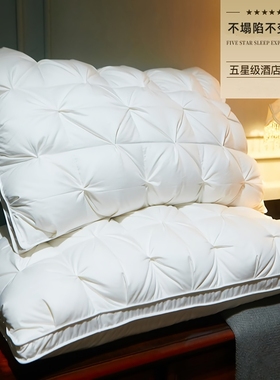 维也纳五星级酒店枕头枕芯护颈椎助睡眠一对装家用单人羽丝绒超软
