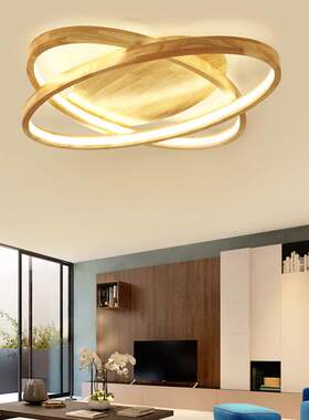 北欧风格简约现代客厅餐厅灯创意个性卧室椭圆吸顶灯具X8118