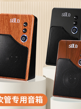 SOLO电吹管专用音箱乐器小型家用桌面便携式户外演出充电蓝牙音响
