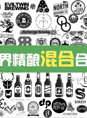 【洪雨精酿】组合套装 果酸 小麦 艾尔 世涛 IPA 波特 473ml 啤酒