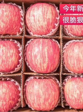 正宗山东烟台苹果水果新鲜当季整箱红富士冰糖心特级脆甜10斤包邮