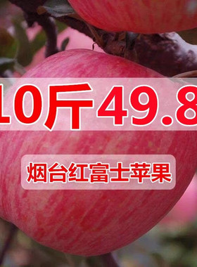 山东烟台红富士苹果水果新鲜10斤一级精品助农栖霞丑脆甜整箱吃的