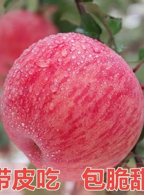 脆甜山东烟台红富士苹果苹果新鲜水果冰糖心苹果当季整箱批发包邮