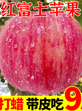 头茬红富士苹果10斤水果新鲜当季应季整箱应季丑萍果一级9包邮