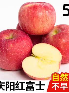 甘肃庆阳红富士苹果9斤水果新鲜整箱当季时令静宁冰糖心丑萍平果
