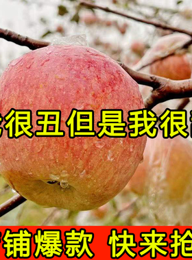 山西高原红富士苹果水果新鲜当季整箱丑萍果脆甜冰糖心平果礼盒装