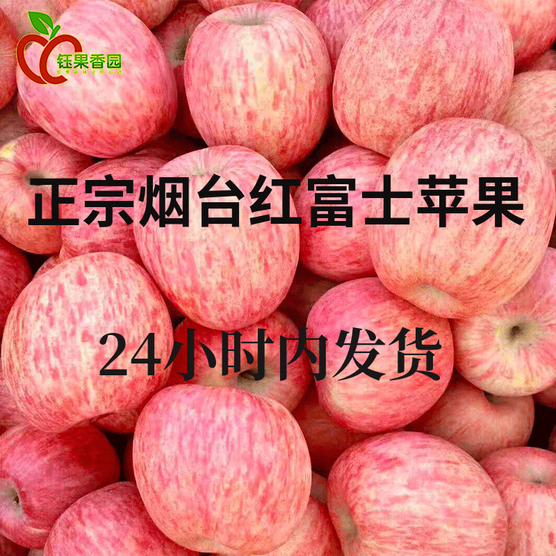 山东烟台栖霞红富士苹果5新鲜水果脆甜特产当季现摘整箱10斤苹果