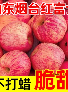 烟台红富士苹果正宗山东栖霞萍果水果脆甜多汁10斤整箱装新鲜苹果