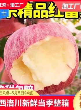 辽西绥中苹果新鲜水果当季整箱9斤红富士冰糖心脆甜超市用不打蜡