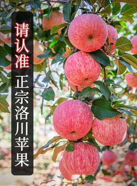 水果108.8脆甜正宗一级新鲜洛川斤陕西红富士整箱苹果当季
