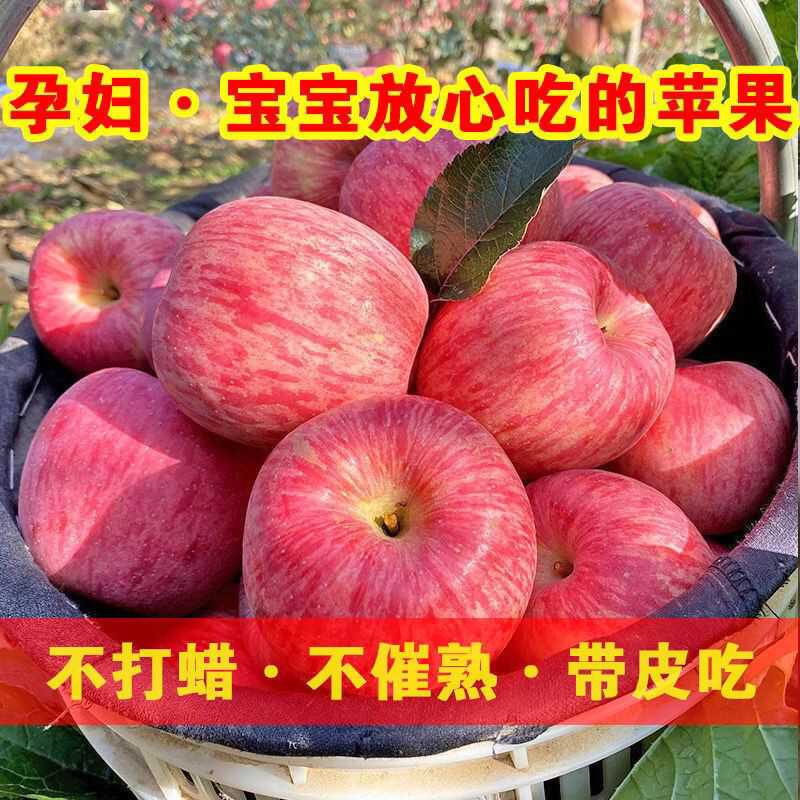 正宗高原新鲜当季苹果整箱商品红富士水果脆甜10斤包邮