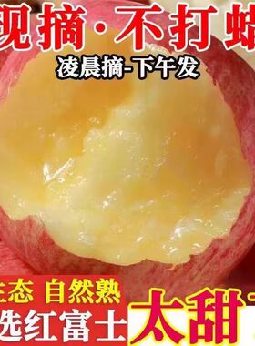 洛川红富士苹果当季时令洛川红富士新鲜孕妇水果脆甜洛川苹果整箱