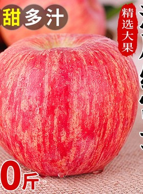 苹果陕西应当整箱水果季苹果新鲜10红富士现摘斤洛川脆甜糖心
