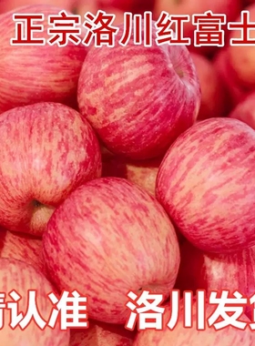 新鲜苹果水果整箱当季陕西洛川正宗红富士冰糖心脆甜一级10斤包邮