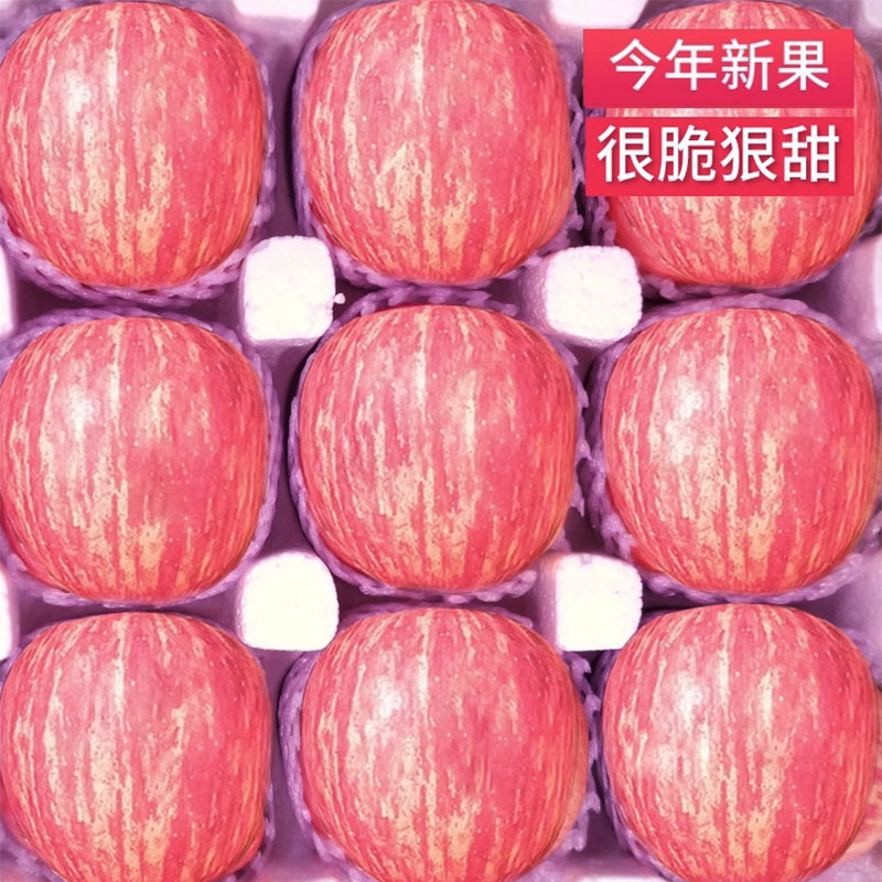 正宗山东烟台红富士苹果新鲜水果应季当季整箱脆甜冰糖心10斤包邮