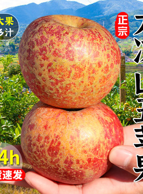 大凉山丑苹果新鲜水果当季整箱10斤四川盐源红富士冰糖心苹果