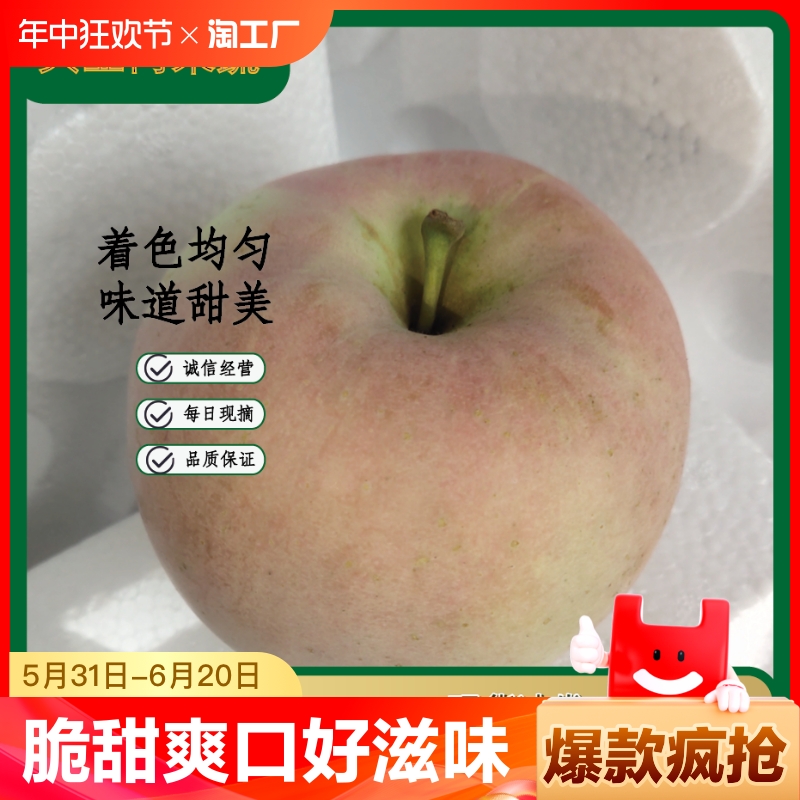 山东红富士苹果水果新鲜应季脆甜果整箱产地直发现摘