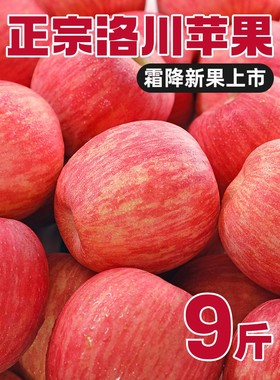 洛川苹果陕西红富士整箱5斤当季新鲜水果一级大果礼盒冰糖心