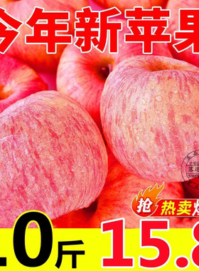 陕西整箱新鲜心脆5当季甜大斤冰糖红富士苹果水果正宗洛川10