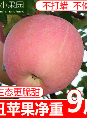 红富士丑苹果水果净重9斤新鲜高山平果萍果山西脆甜整箱非冰糖心