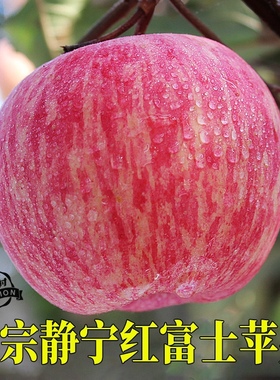 2022年甘肃静宁条纹红富士苹果新鲜现摘水果脆甜薄皮多汁整箱