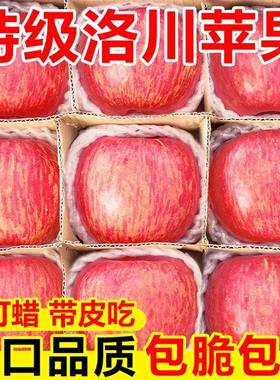 洛川苹果正宗精选10斤大果陕西红富士新鲜水果当季整箱现摘现发