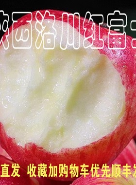 陕西洛川一级红富士苹果新鲜水果10斤包邮烟台当季整箱冰糖心延安
