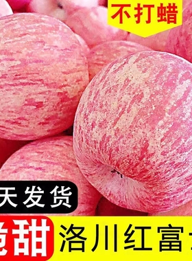 洛川苹果陕西延安红富士时令苹果水果生鲜新鲜脆甜整箱