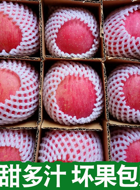 苹果水果陕西洛川红富士丑苹果水果新鲜整箱当季脆甜平果整箱1-3