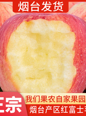 山东烟台红富士苹果水果新鲜当季整箱5/10斤栖霞脆甜冰糖心丑苹果